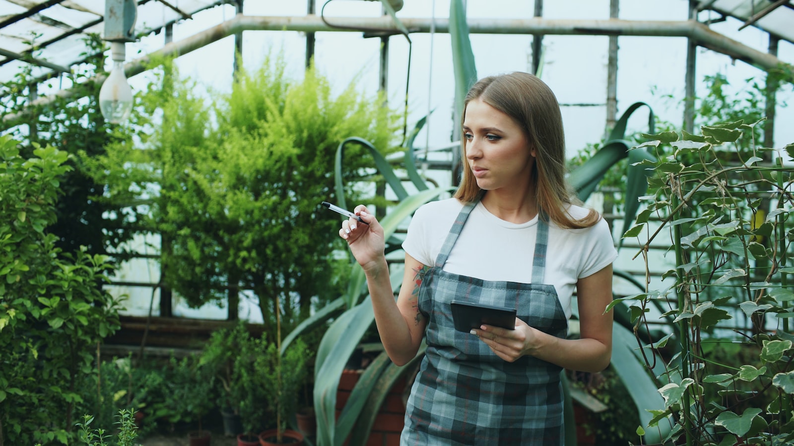 Selecting fresh stems